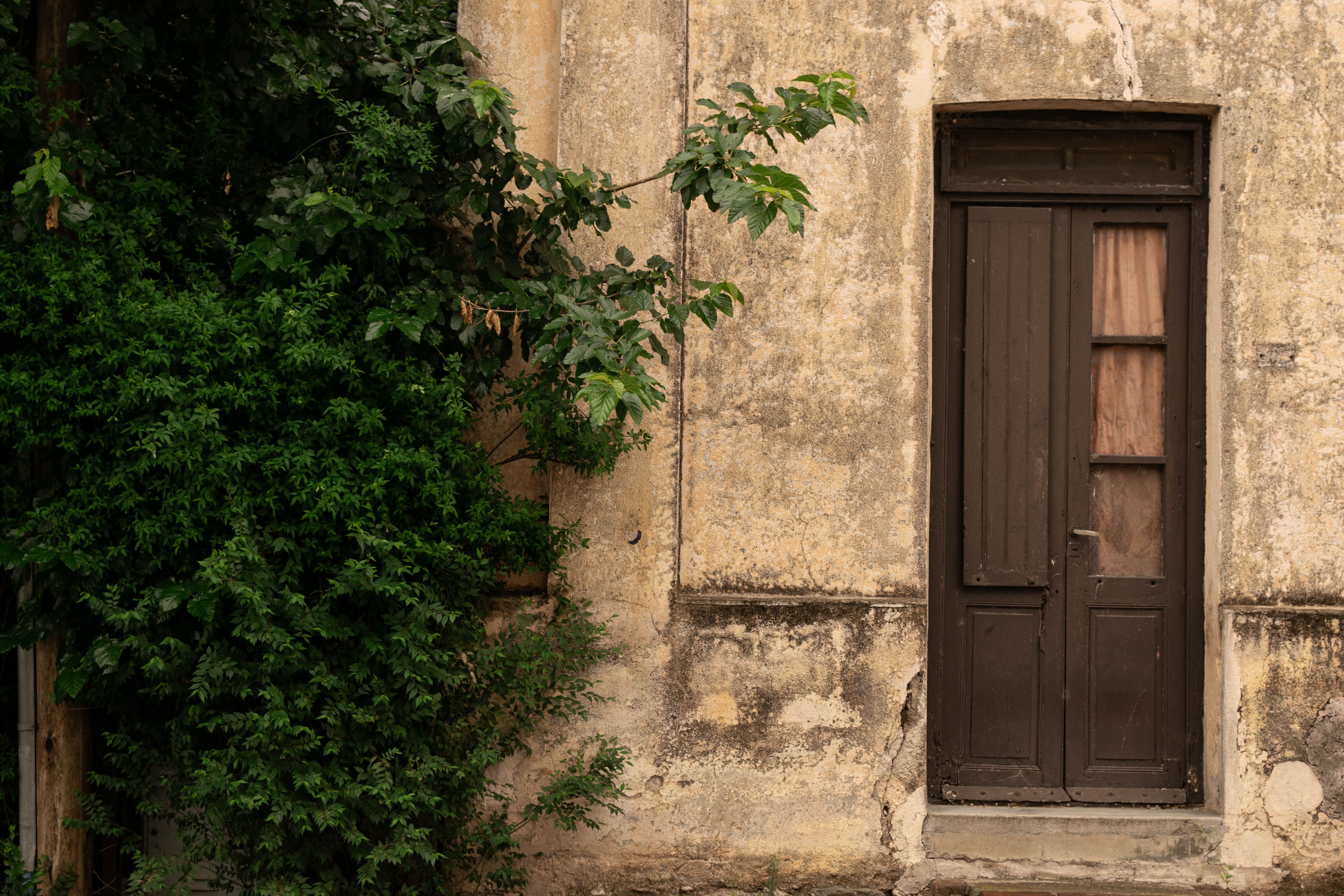 L'art secret d'un foyer bien rangé