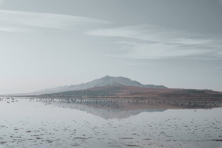 Barren Island Reflecting In Tranquil Water