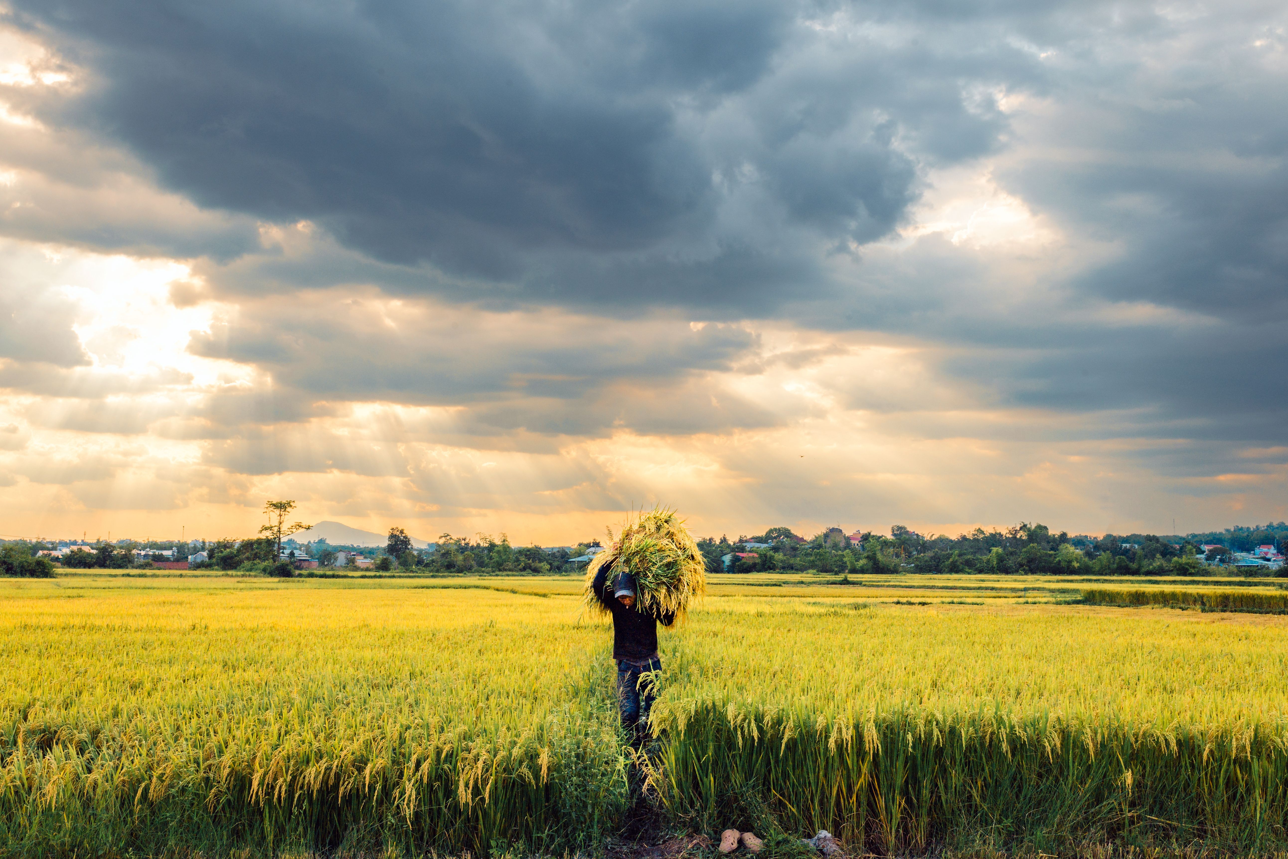 How to Use an MBA to Advance in Your Field or Change Careers — Photo by Tien Le on Pexels