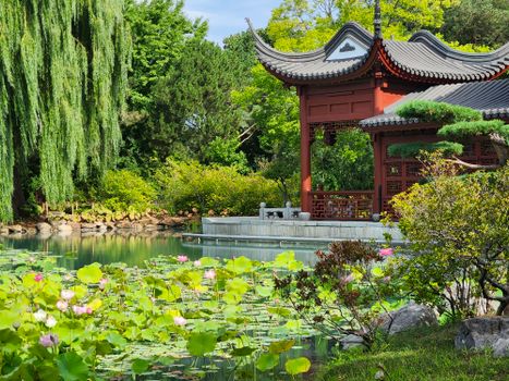 Explore tranquility in Montreal's lush Chinese Garden, a serene oasis of nature and architecture.