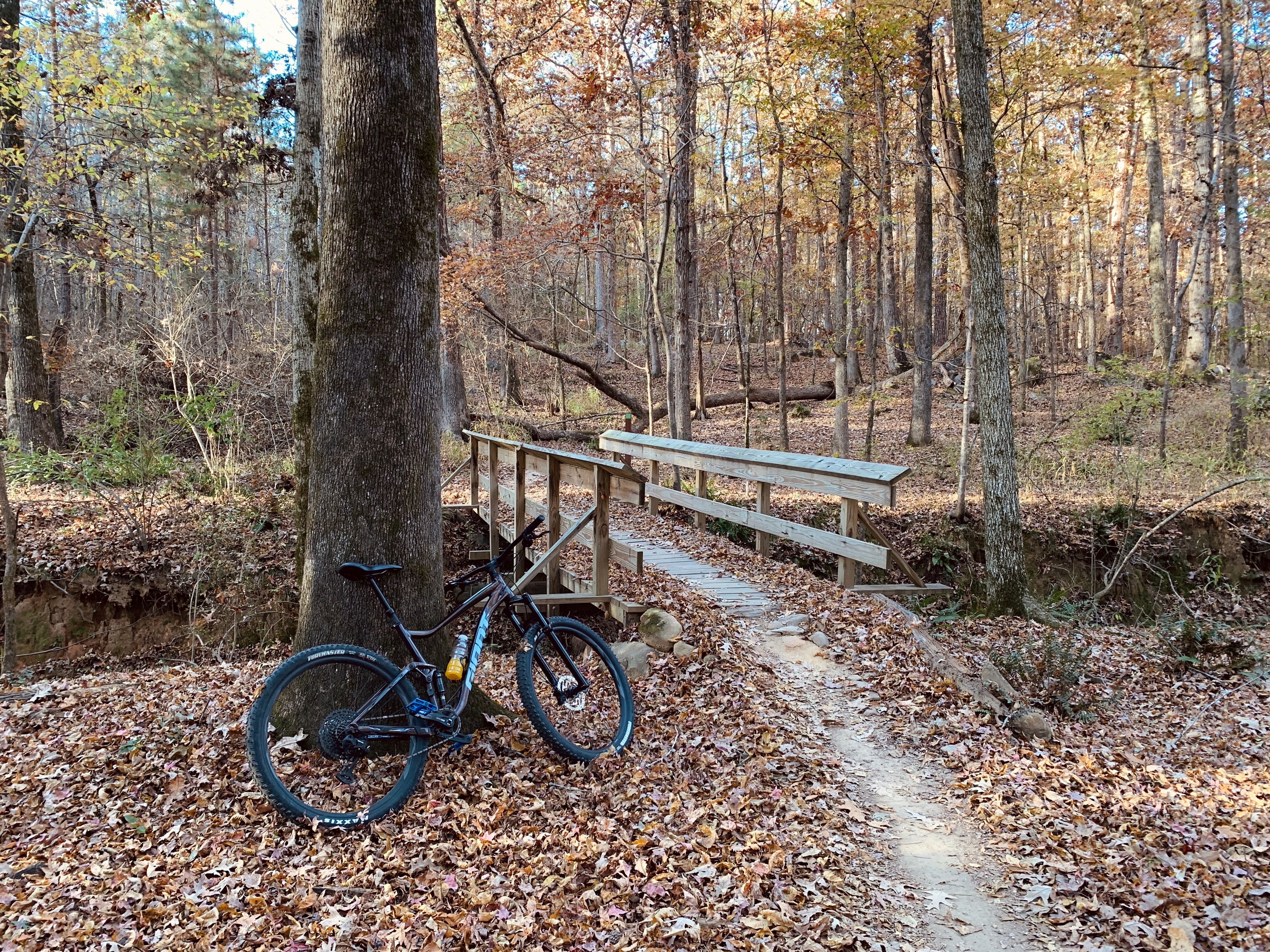 Best Product Giveaways in Raleigh, NC: 2026 Local Guide