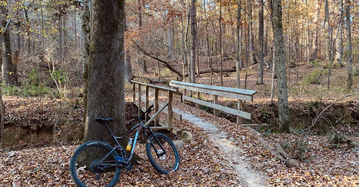 Serene autumn forest with a mountain bike beside a wooden bridge on a nature trail.