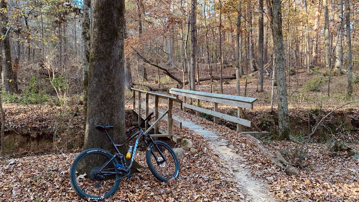 Best Product Giveaways in Raleigh, NC: 2026 Local Guide