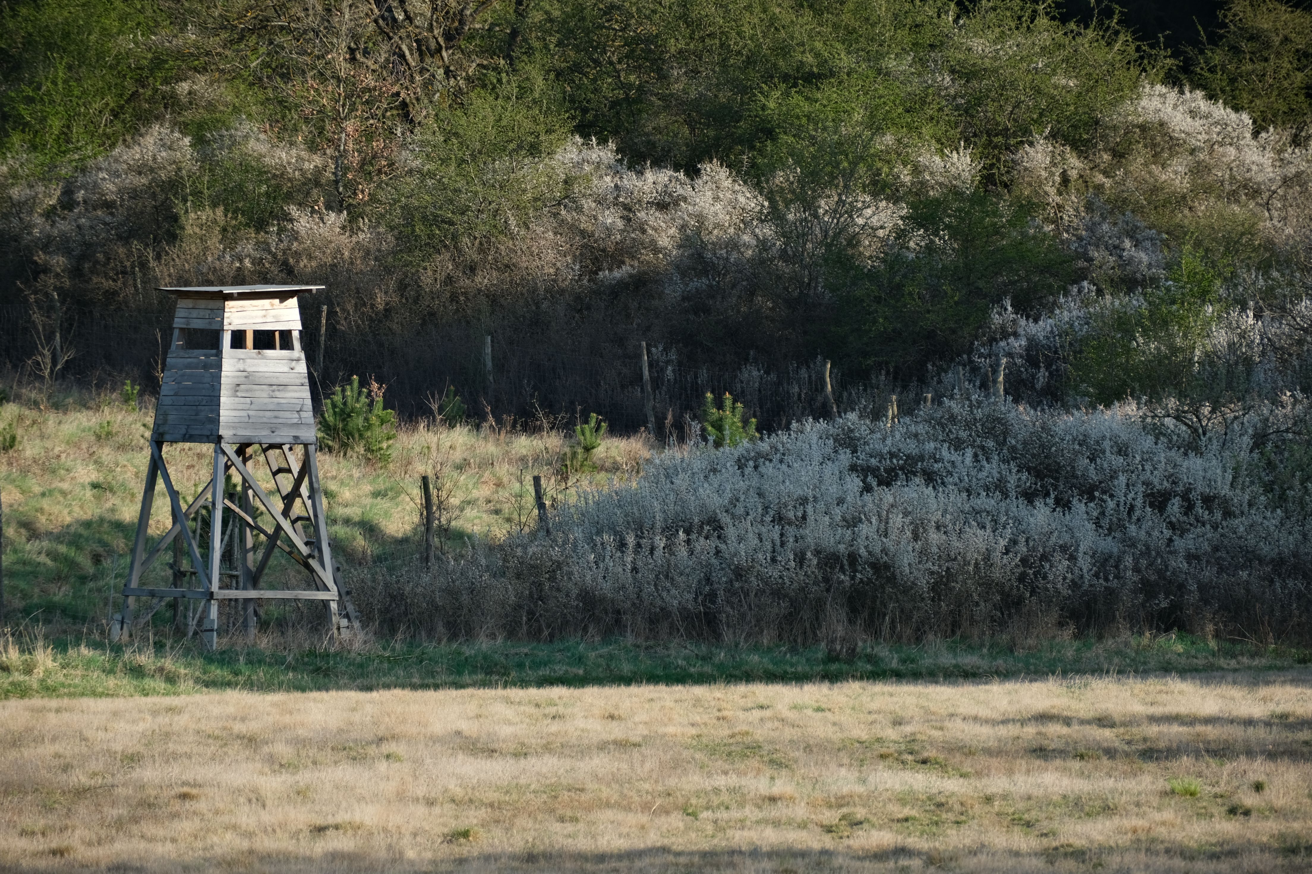 Use Ground Blinds Where Trees Fail