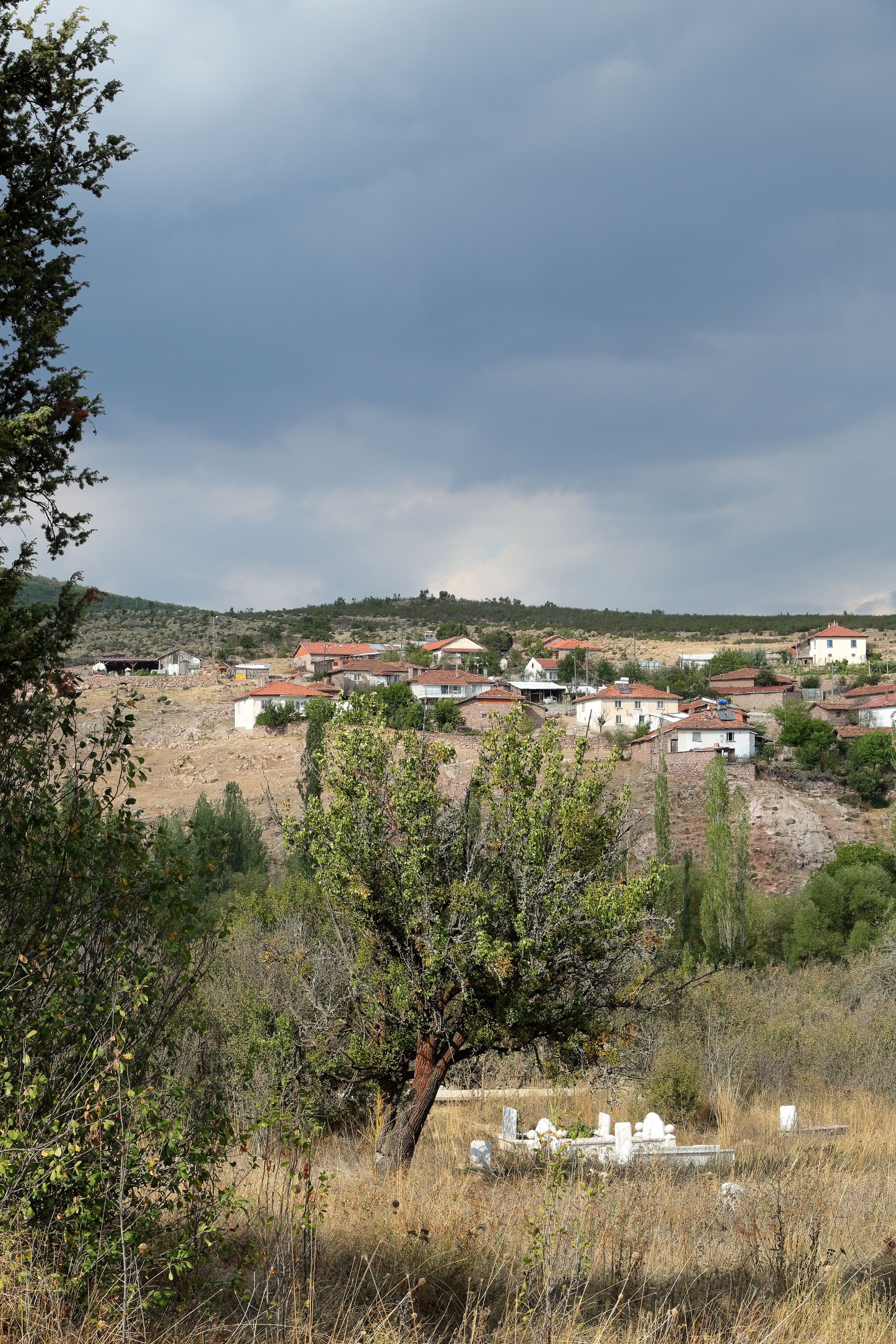 Scenic view of a rural village with cloudy skies, showcasing nature and tranquility.