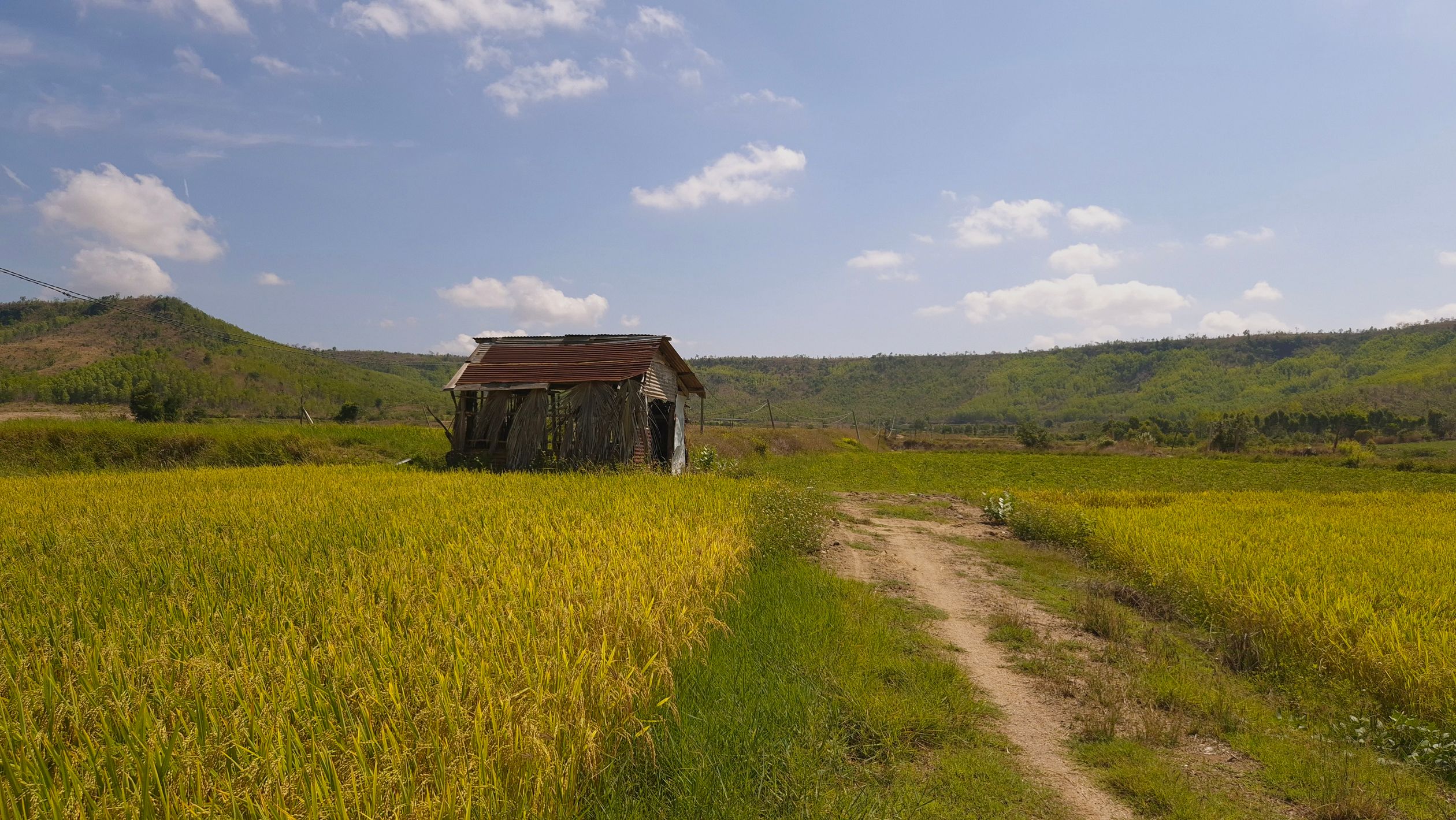 Picturesque Rural Landscape of Gia Lai, Vietnam · Free Stock Photo