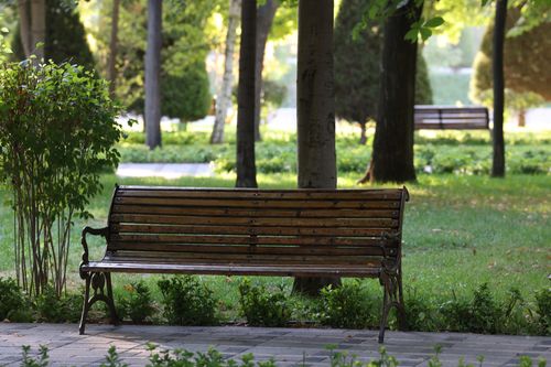 Free A peaceful park scene with a wooden bench surrounded by greenery in Oʻzbekiston. Stock Photo