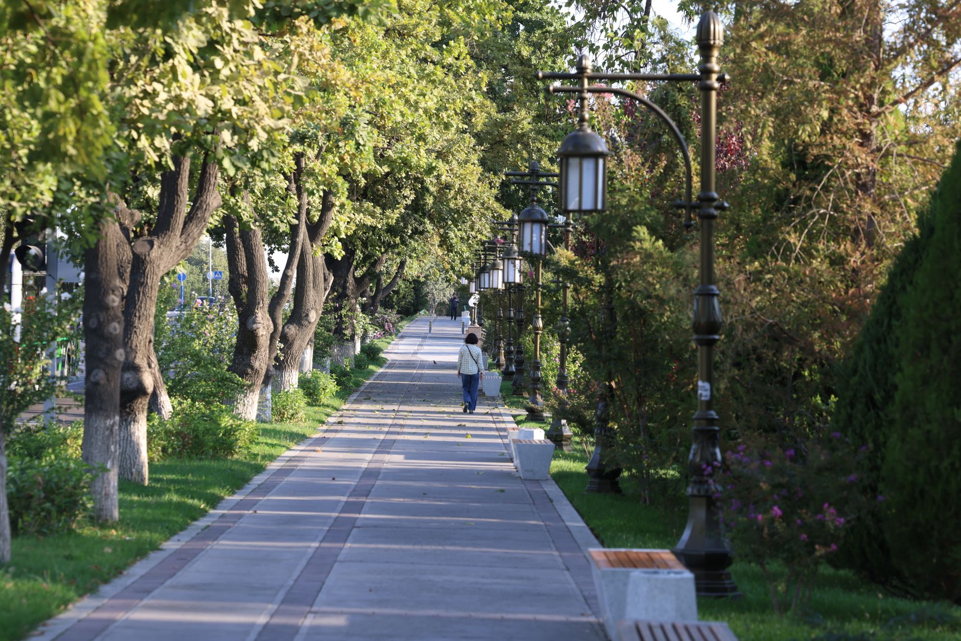 The tree-lined UN Avenue in Gigiri with embassy walls and Karura Forest canopy behind