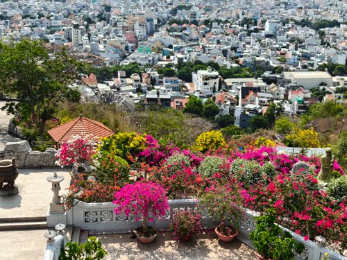 Free Colorful rooftop garden with vibrant flowers overlooking an expansive cityscape. Stock Photo