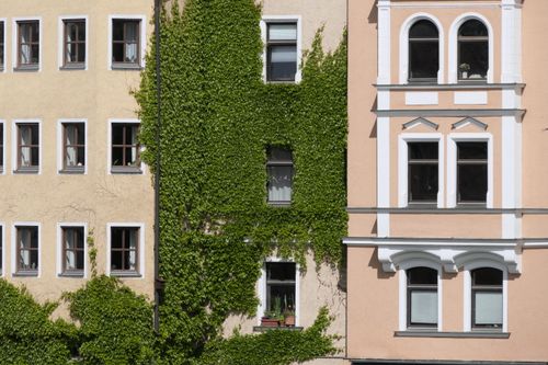 Free Charming European architectural details with ivy-covered walls in Regensburg, Germany. Stock Photo
