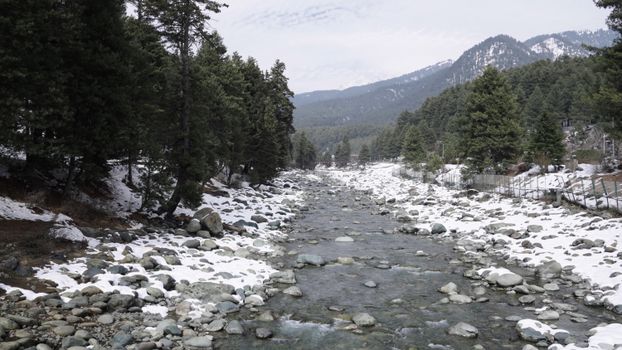 A serene snow-covered river flows through a pine forest with distant mountains, capturing winter's tranquility.