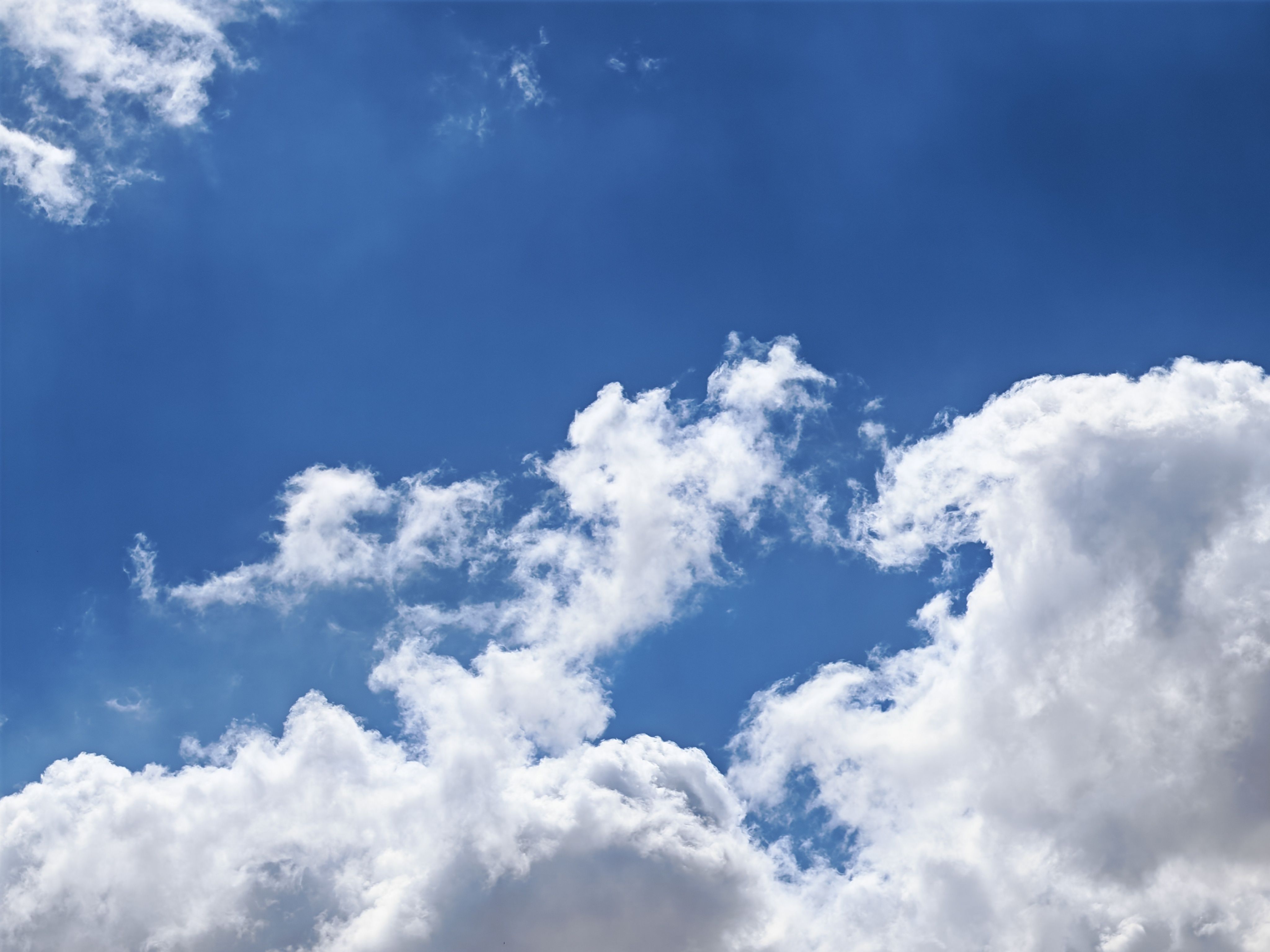 Microsoft showcases new PC, cloud AI tools at developer conference - The Spokesman — Photo by Mahmoud Zakariya on Pexels