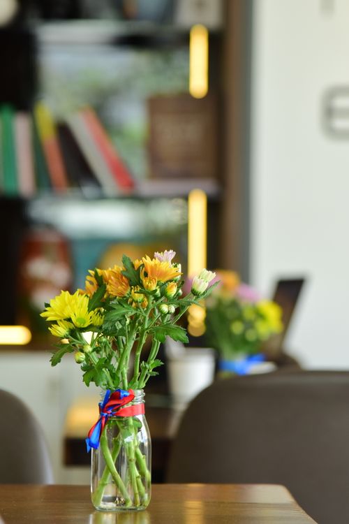 Free A bouquet of colorful chrysanthemums displayed in a clear glass vase, creating a lively indoor atmosphere. Stock Photo