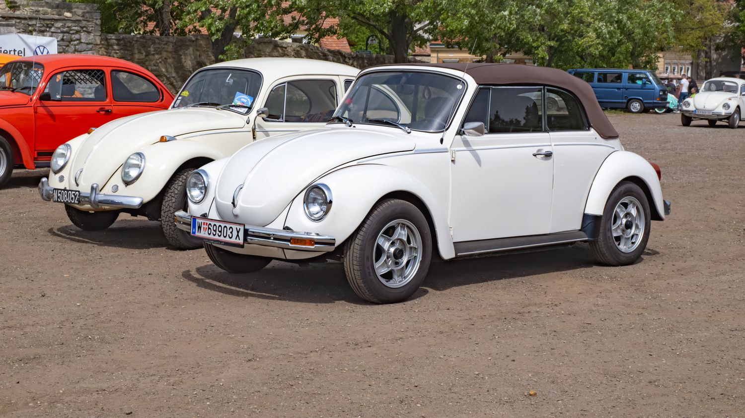 Beetle Car Photos, Download The BEST Free Beetle Car Stock Photos & HD ...