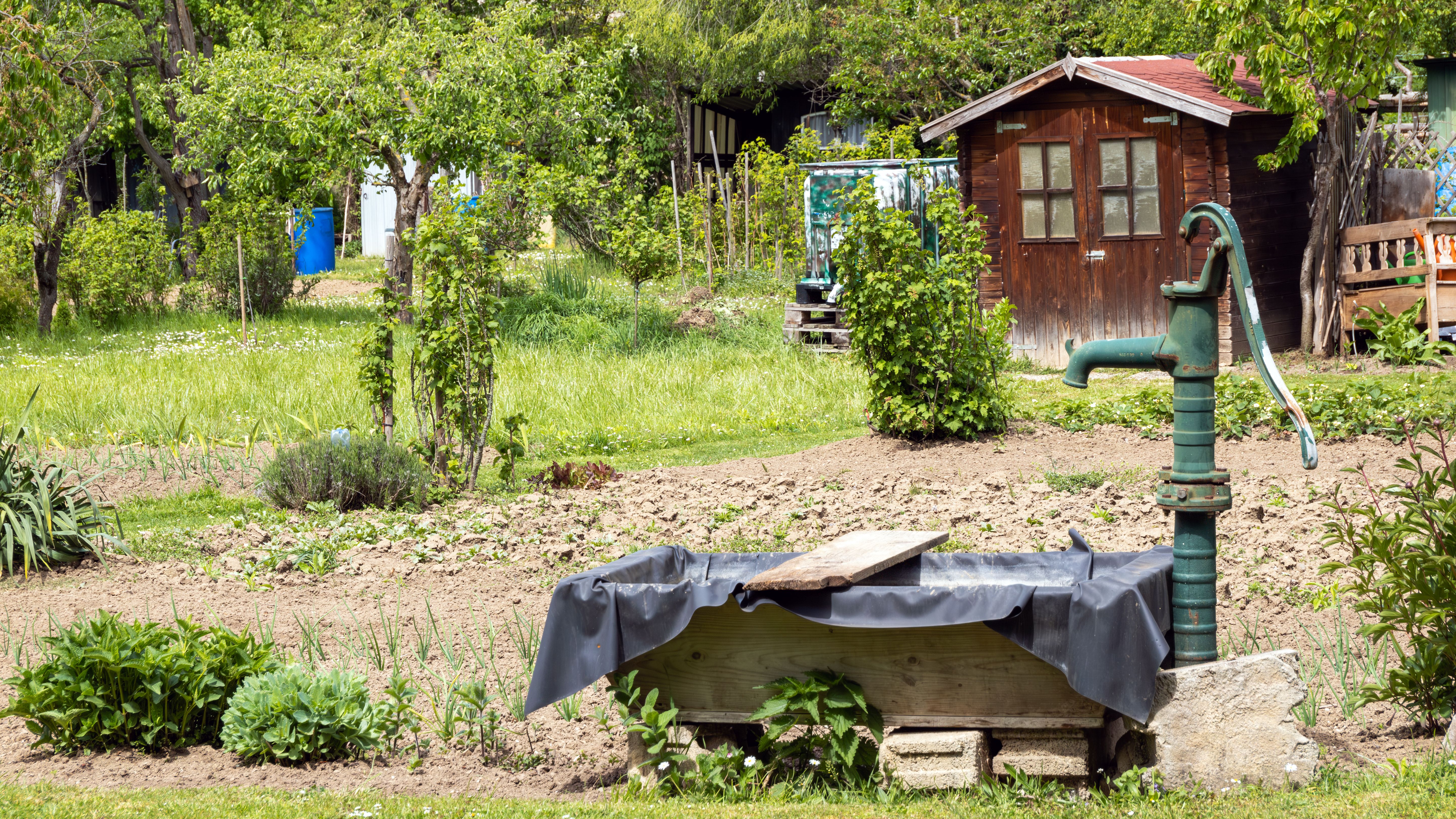 Sprinklerkopf für Garten im Test