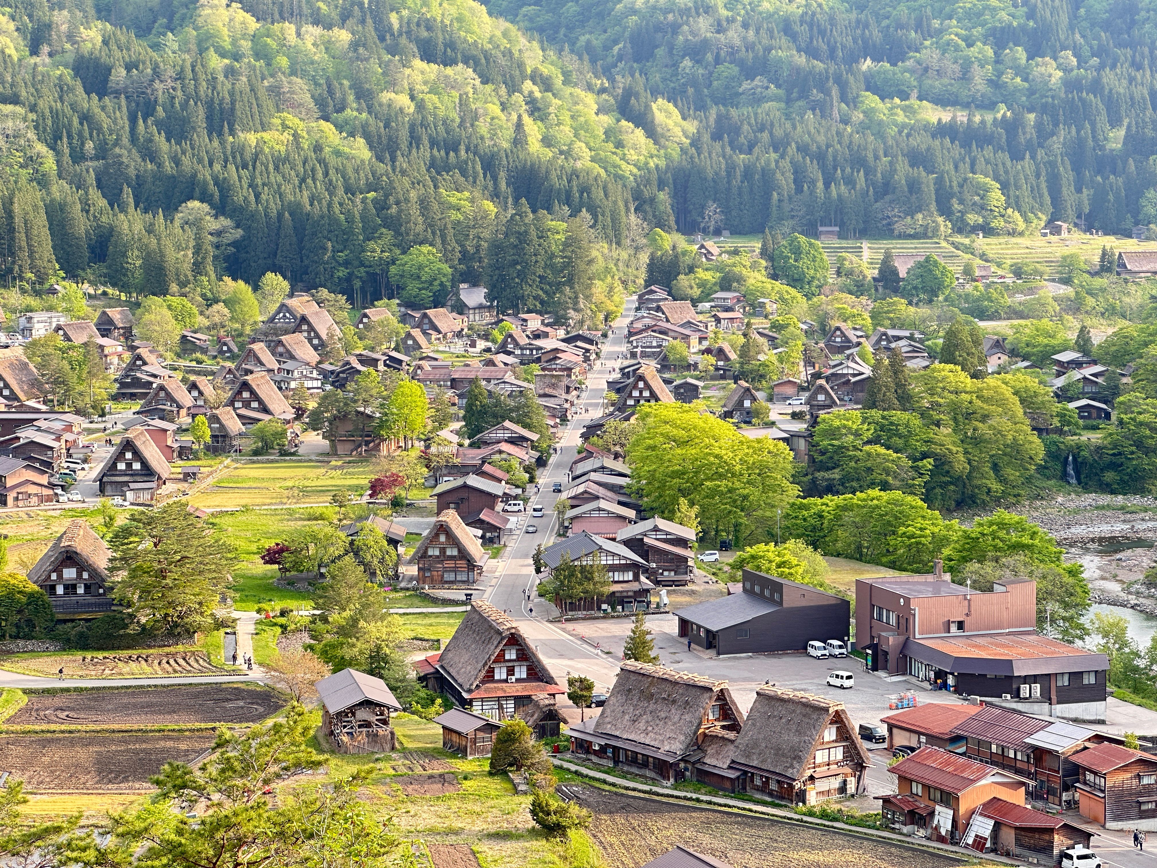 Vaitogi