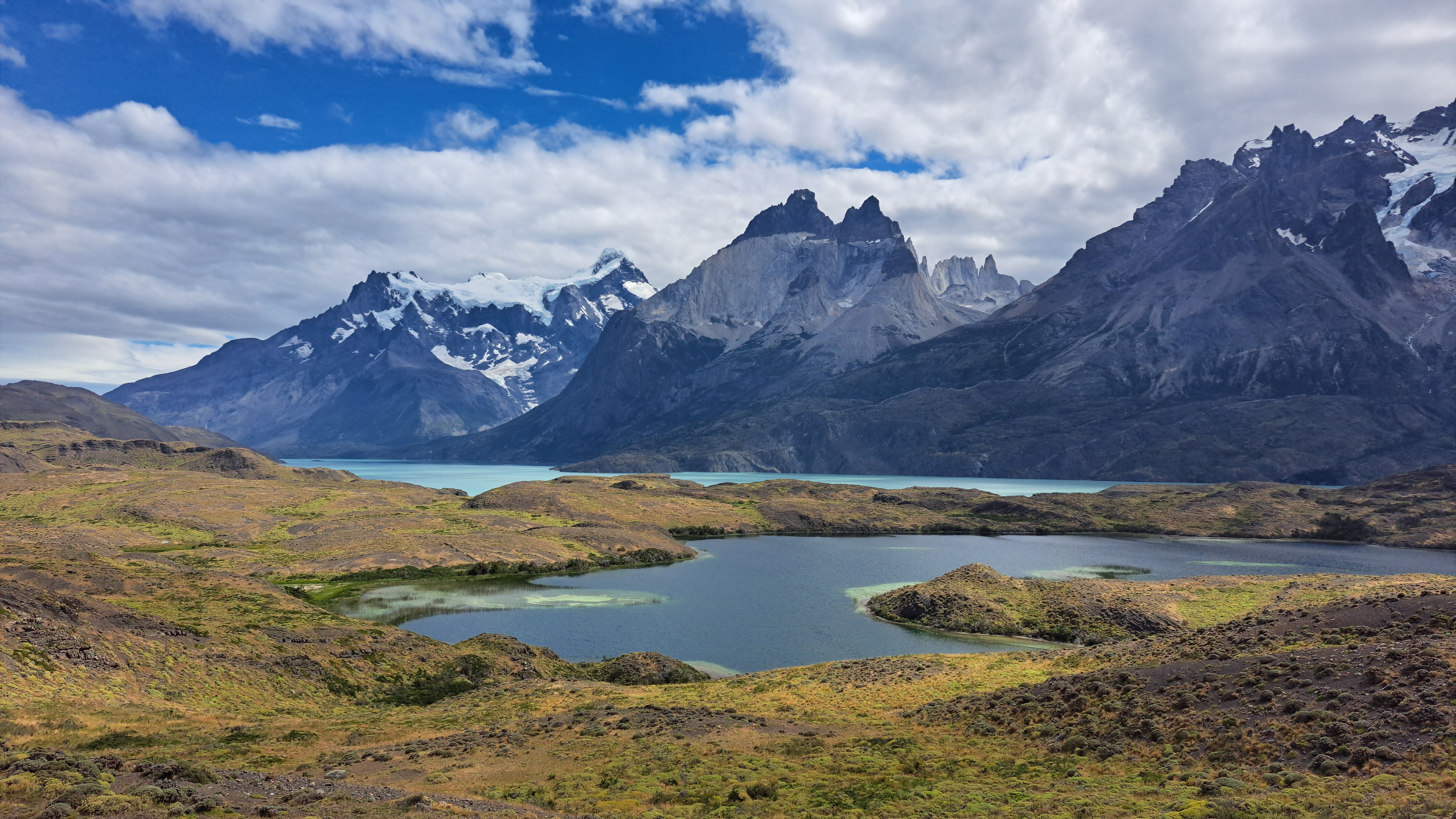 Valdivian Coastal Reserve, Chile - travel photo
