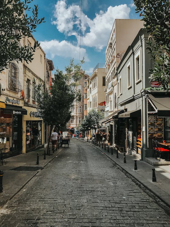 Free Narrow cobblestone street with old buildings and lush summer greenery in bright day Stock Photo