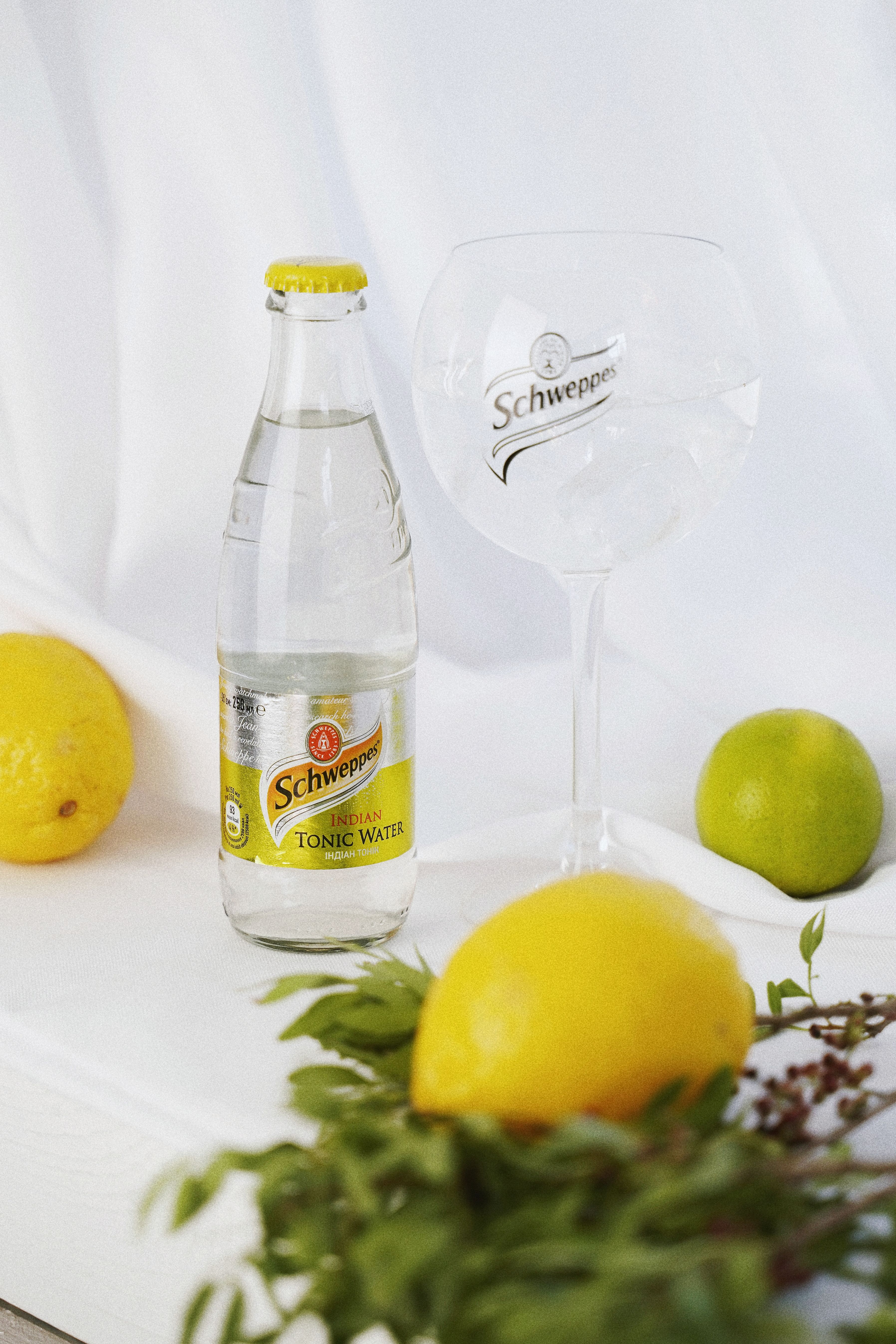 Still life of Schweppes tonic water with lemons and limes for a refreshing cocktail setup.