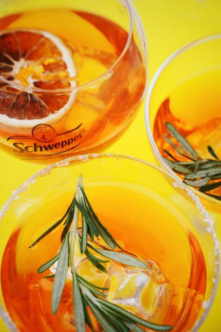 Vibrant orange cocktails with citrus and rosemary on a bright backdrop, perfect for summer refreshment.