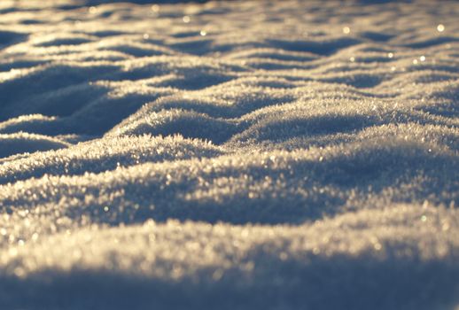 Macro shot of snow with a sparkling, frosty surface illuminated by sunlight.