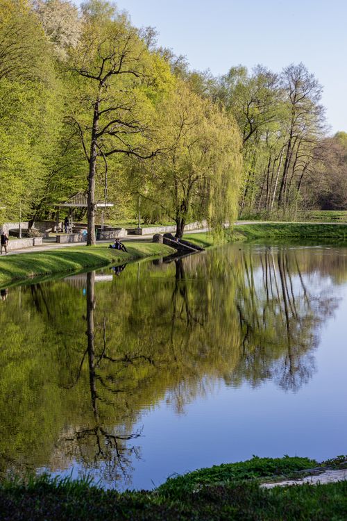 Free Trees and their reflections in a tranquil park lake in Kyiv, Ukraine during spring. Stock Photo