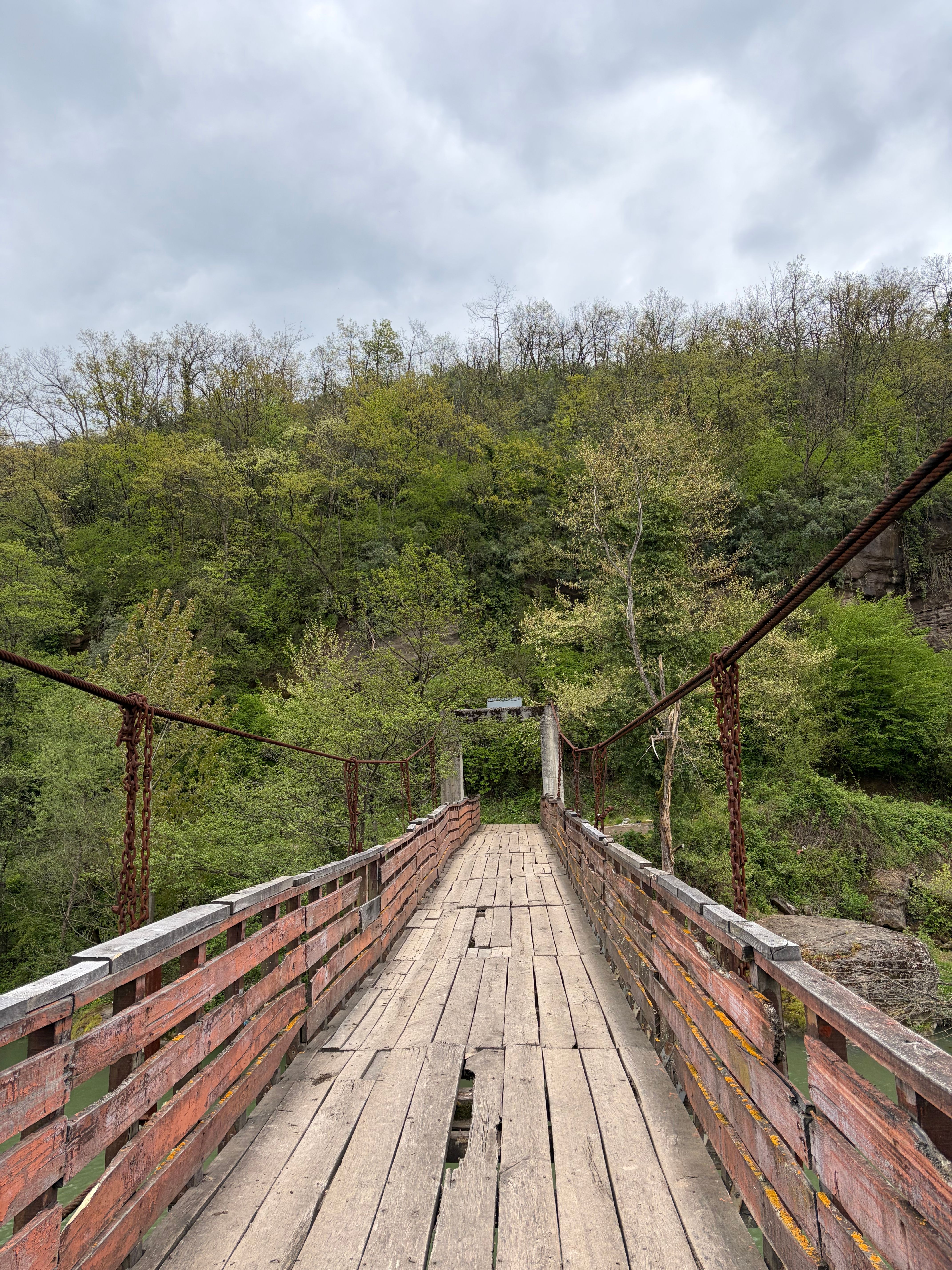 Neglected Footbridge in Wilderness · Free Stock Photo