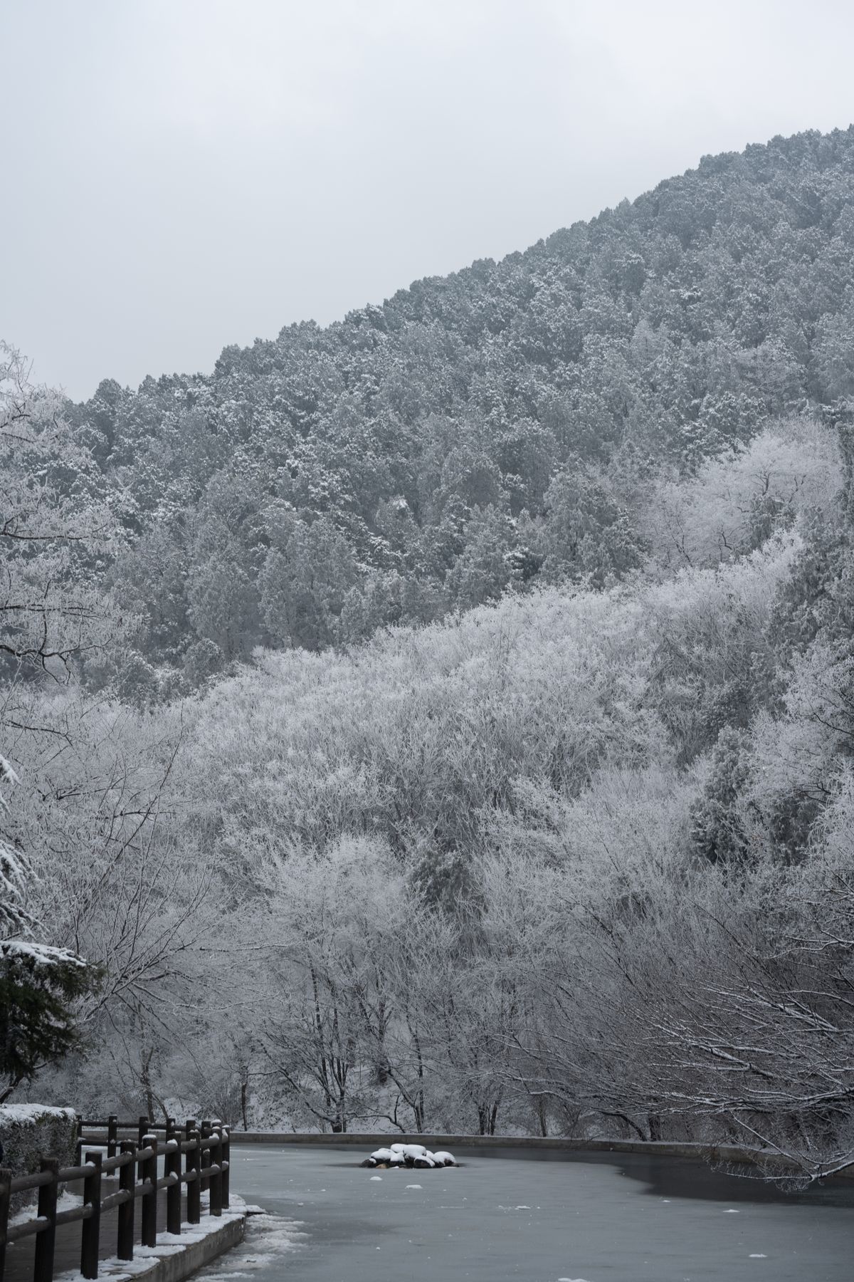 雪の積もった建物と道