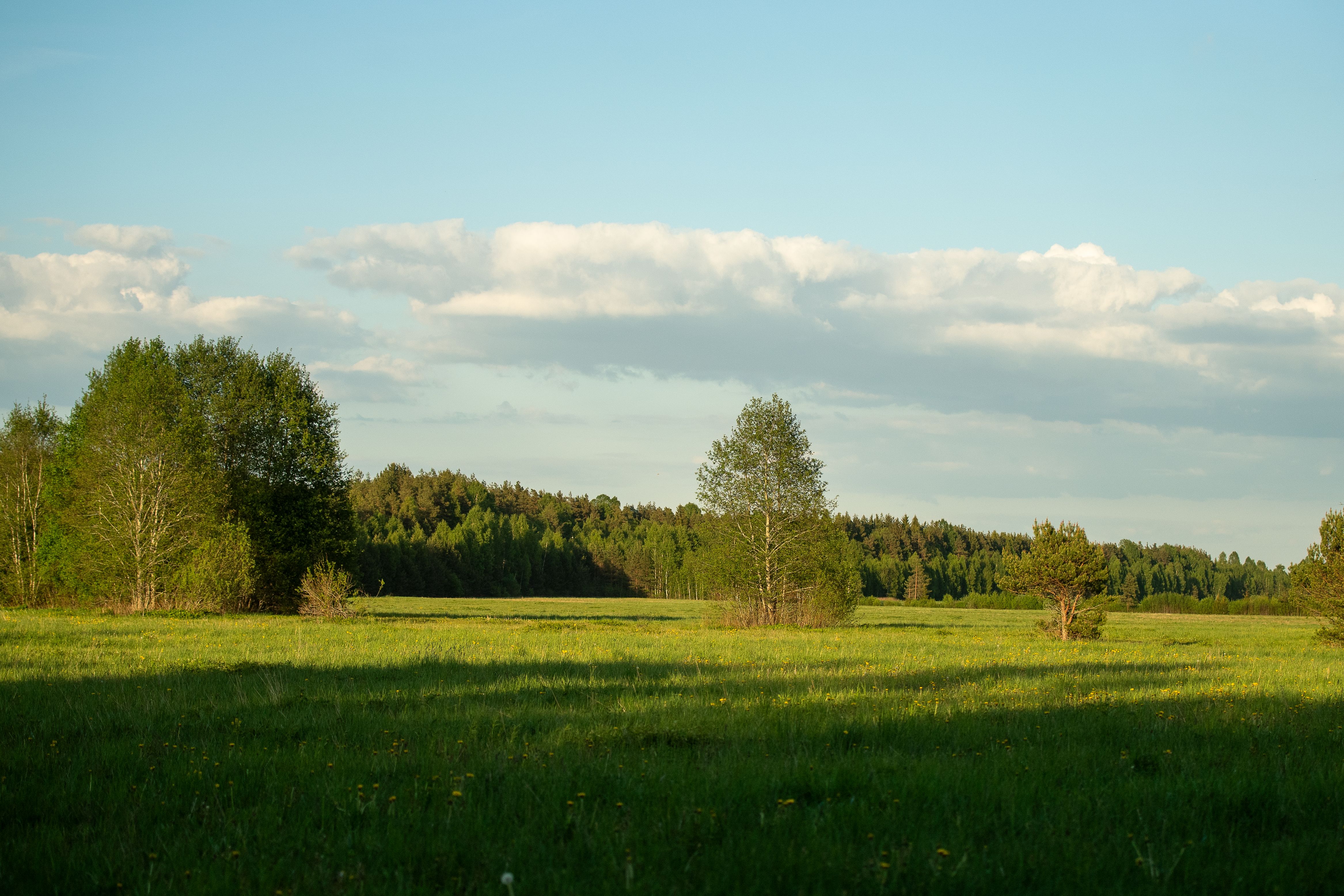 Tartumaa