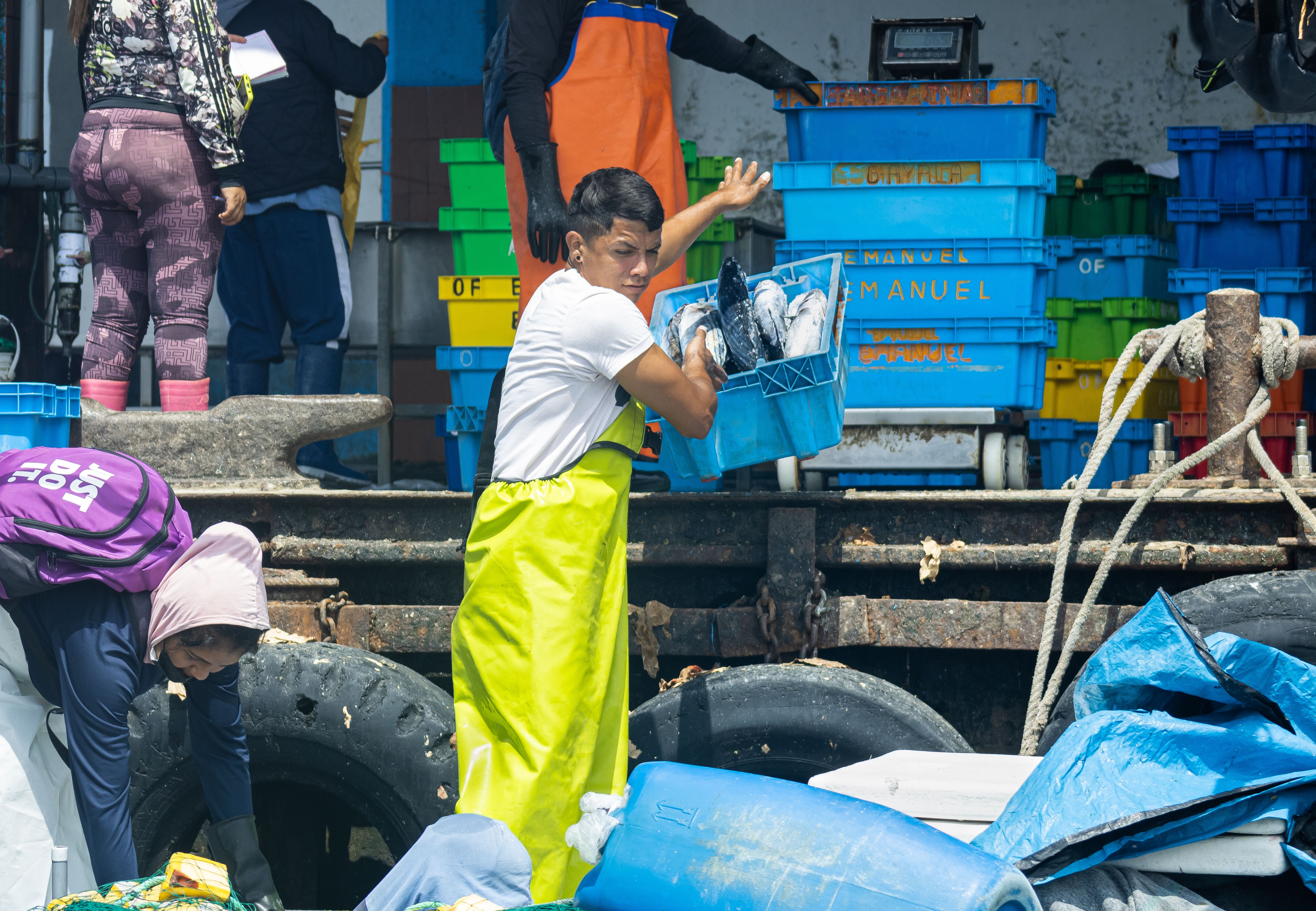 About Judex Palm Aquaculture