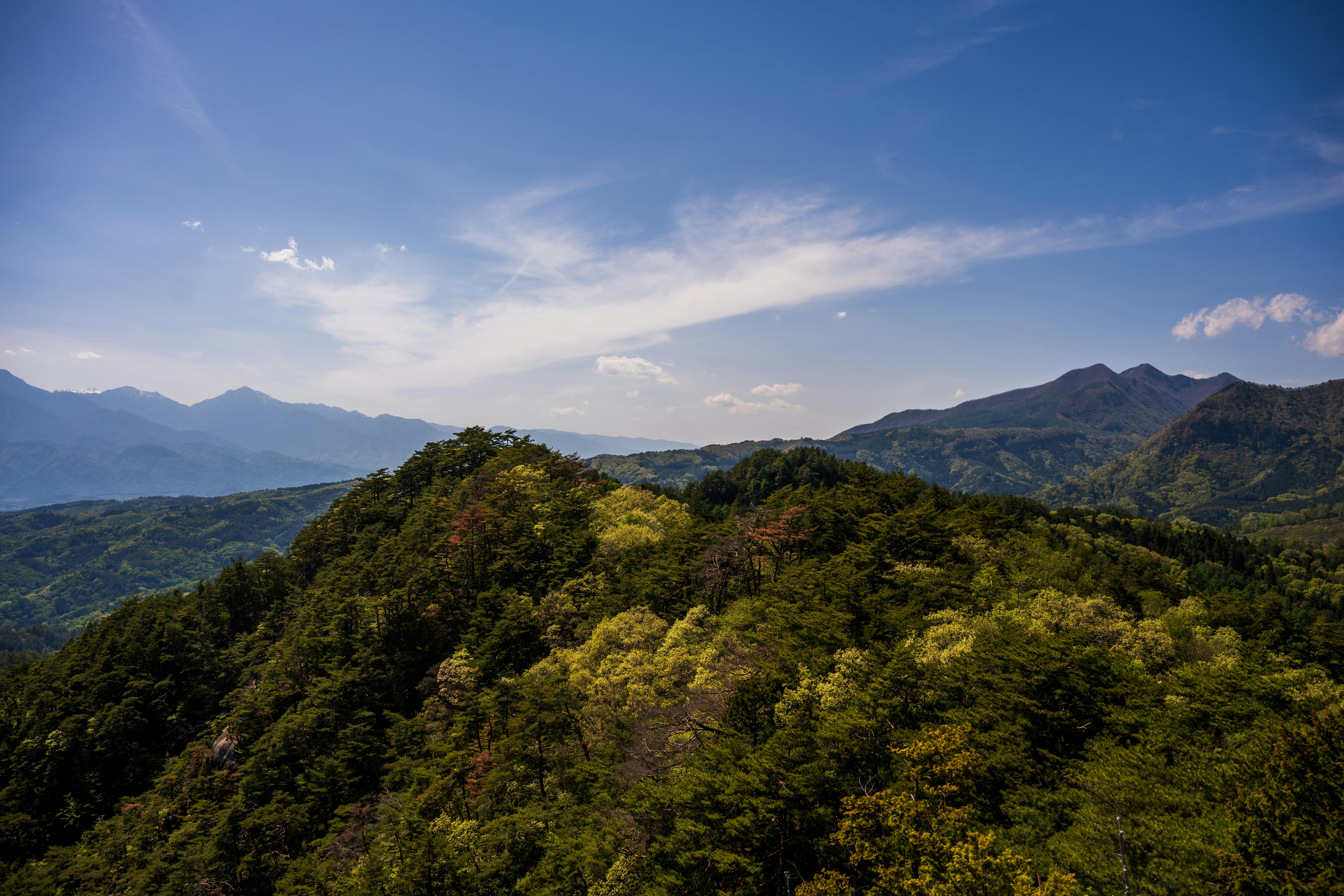 Capturing the tranquil beauty of a lush mountain landscape under a clear blue sky, perfect for nature lovers.