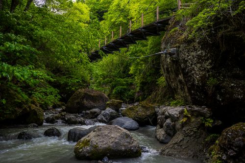 Free Lush forest stream with a rustic wooden bridge in a natural setting. Stock Photo