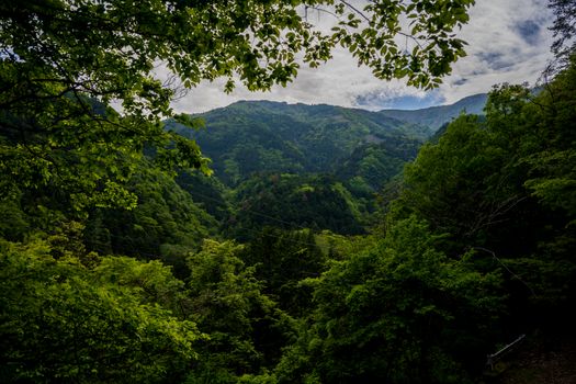 Strahlende Berge & Wald – Anime-Stil Hintergrundbild