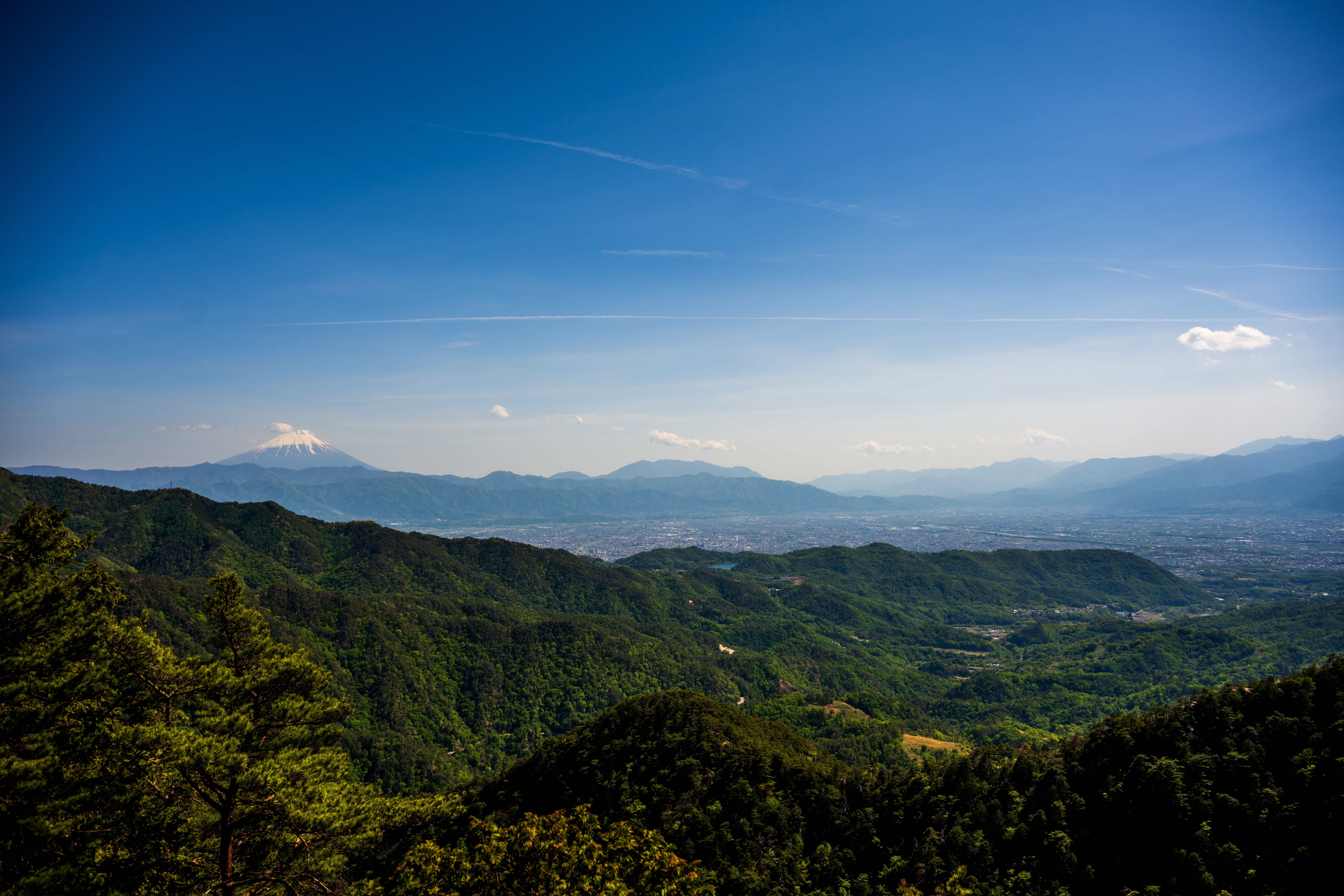 4 Day Wellness and Yoga Retreat in Nara, Japan 3
