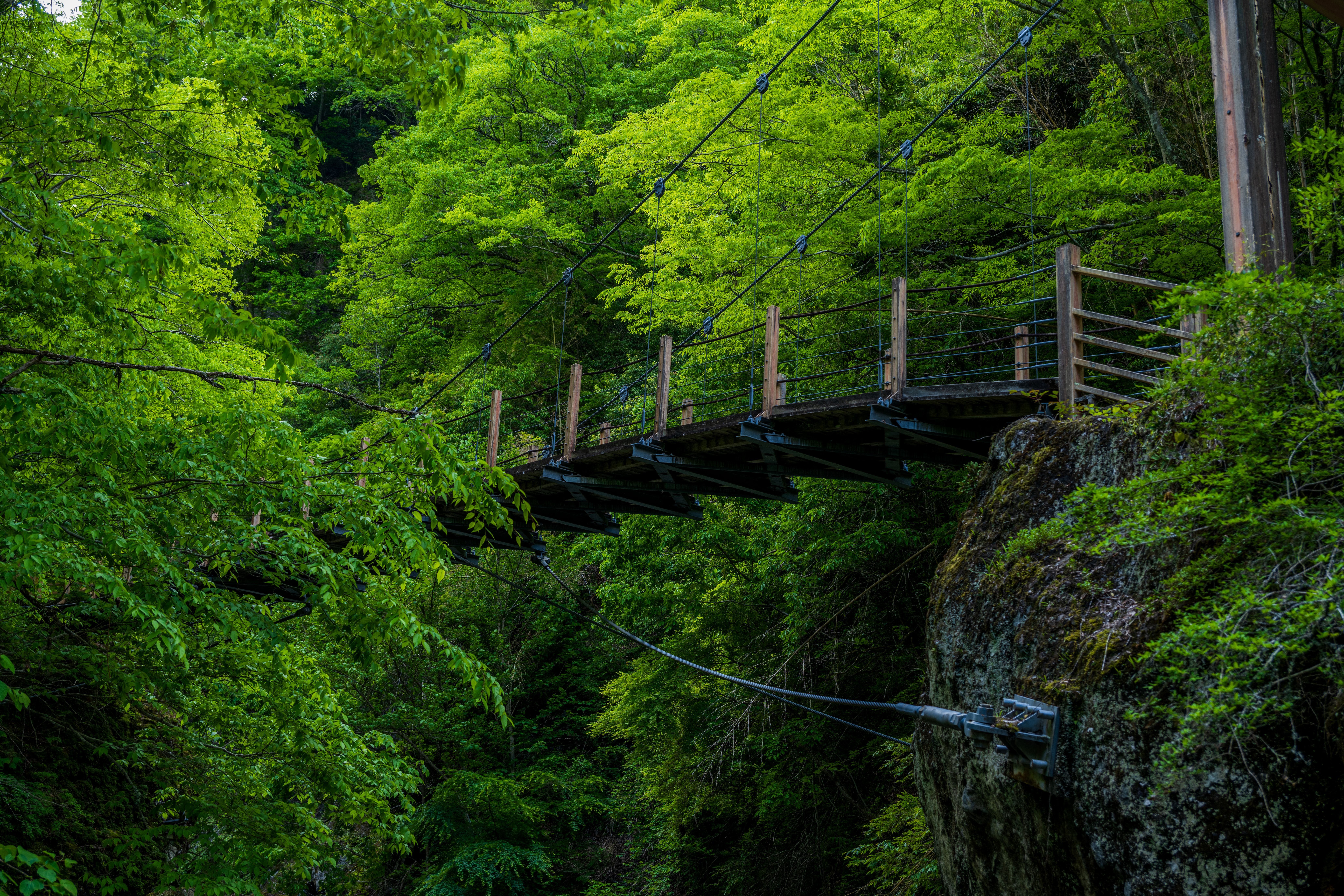 Unlock Your Soul's Sanctuary: Why 2026's Top Eco-Spiritual Retreats & Biophilic Stays Are Your Ultimate Path to Profound Renewal!