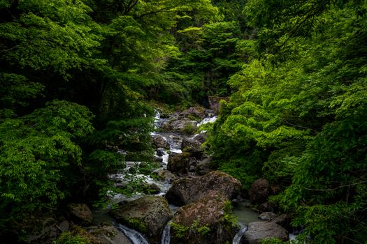 Elegante Szene mit Wald & Landschaft – Anime Art