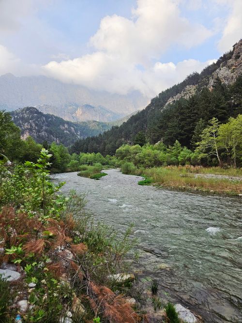 Free Peaceful river flowing through dense forest and mountain terrain under a cloudy sky. Stock Photo