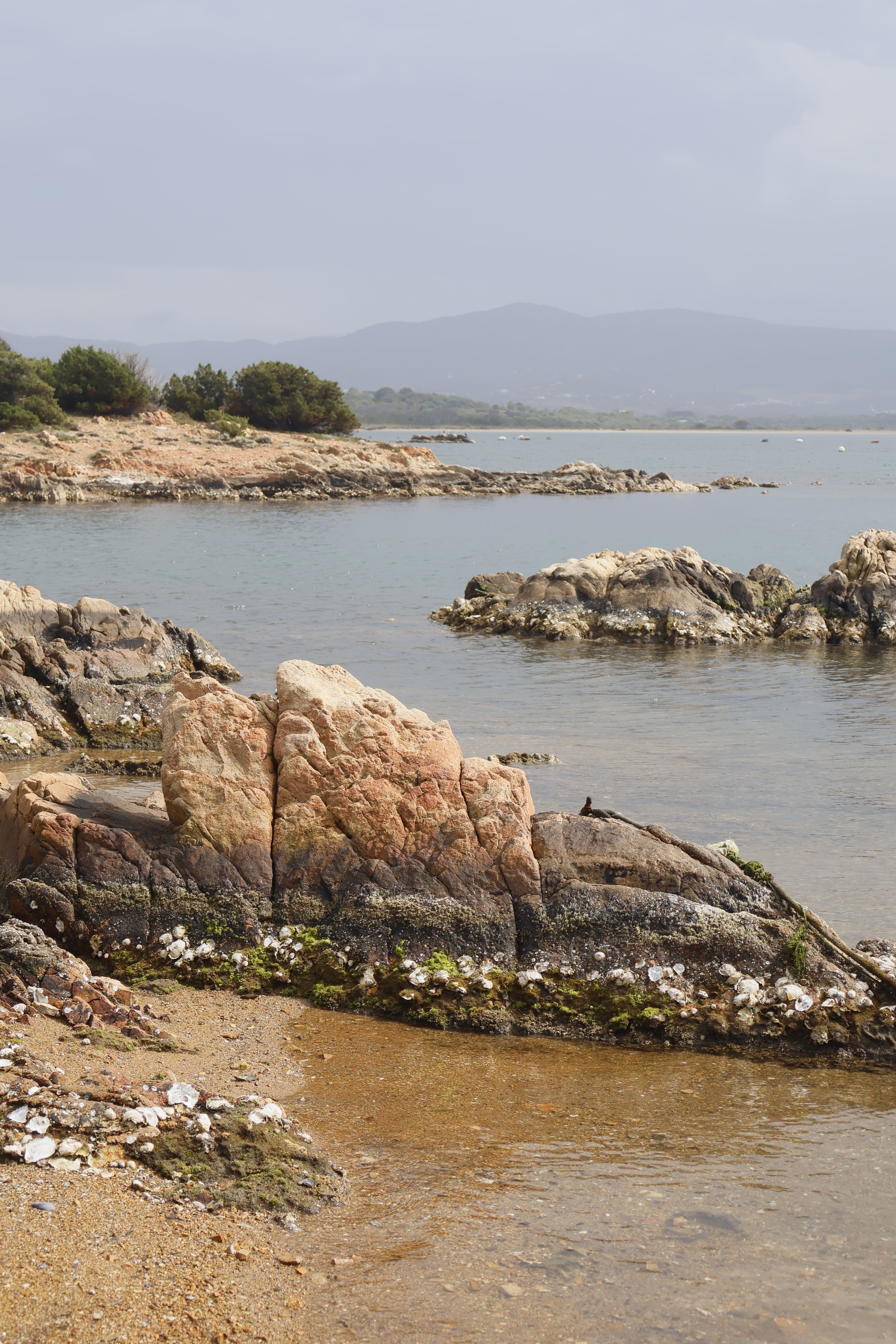 Scenic Coastal Rocks Overlooking Calm Mediterranean Sea · Free Stock Photo