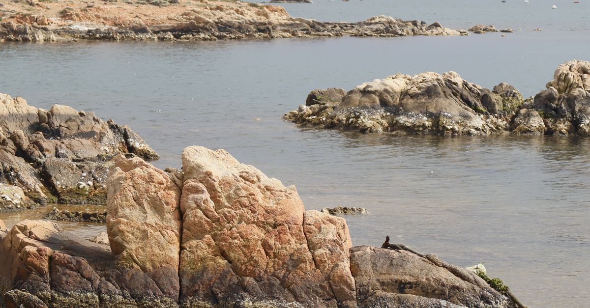 Mediterranean Rocks Scenic Coastal Rocks Overlooking Calm Mediterranean Sea · Free Stock Photo