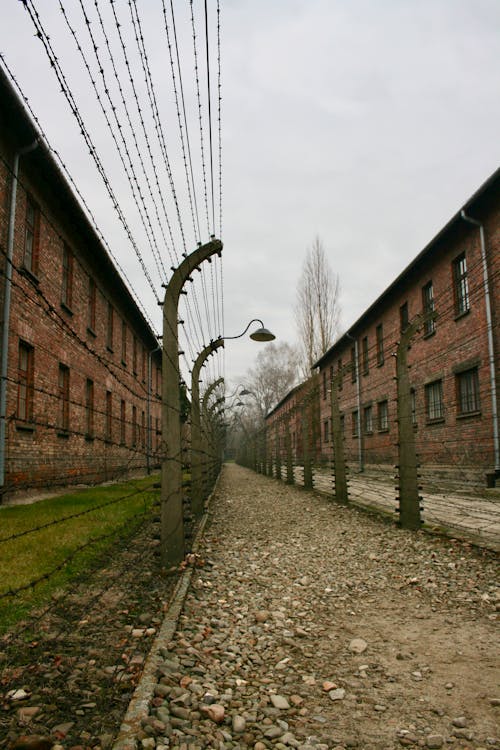 Free Narrow pathway between barb wire fences separating industrial brick buildings in gloomy day Stock Photo