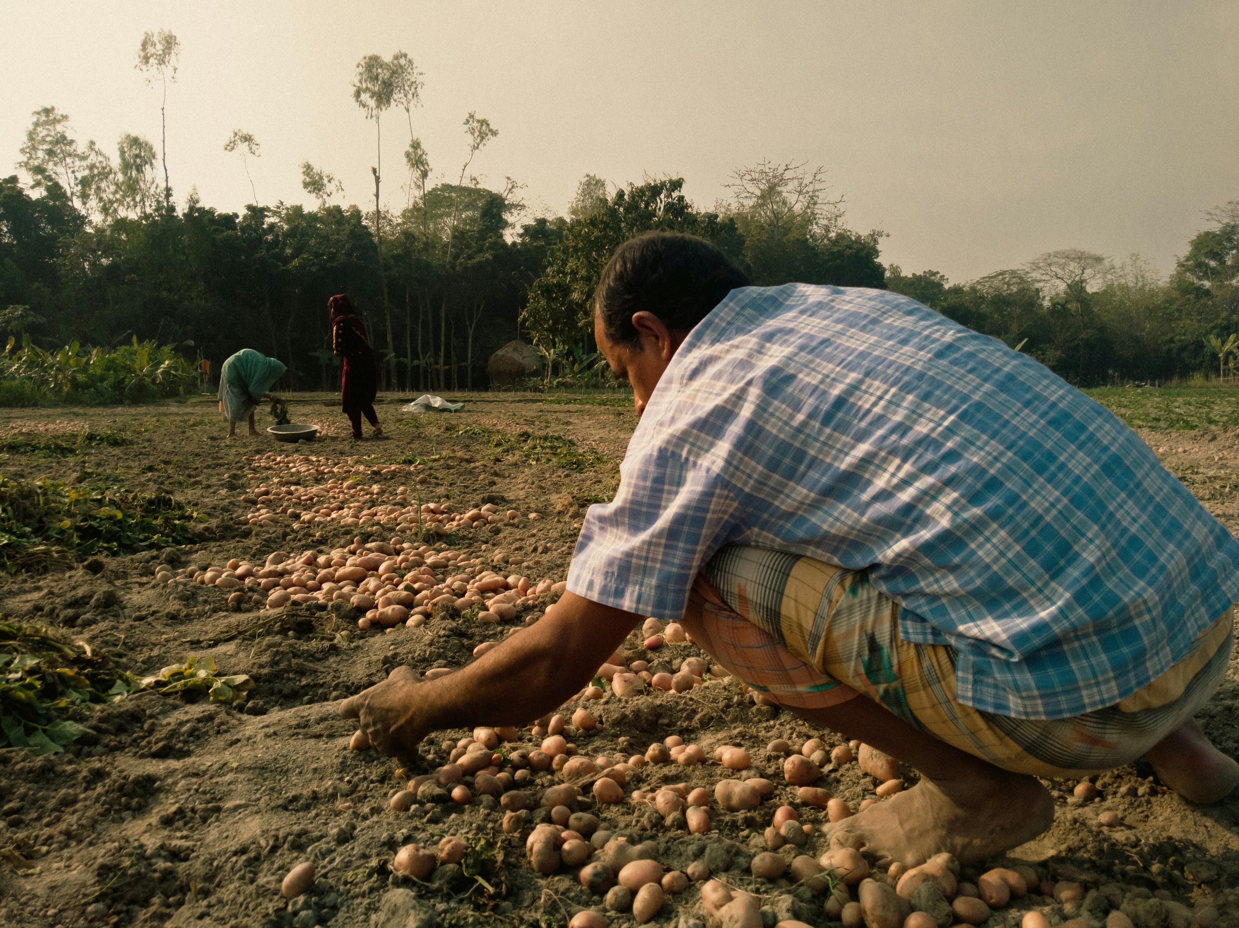Many farmers utilize life insurance for farm financing — Photo by Jubayer Al Wadud on Pexels