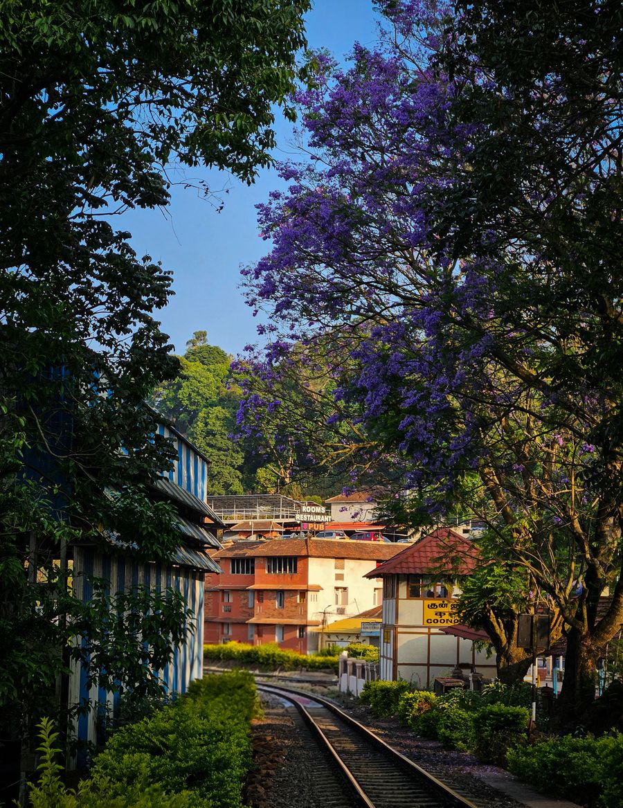 Coonoor photo 5