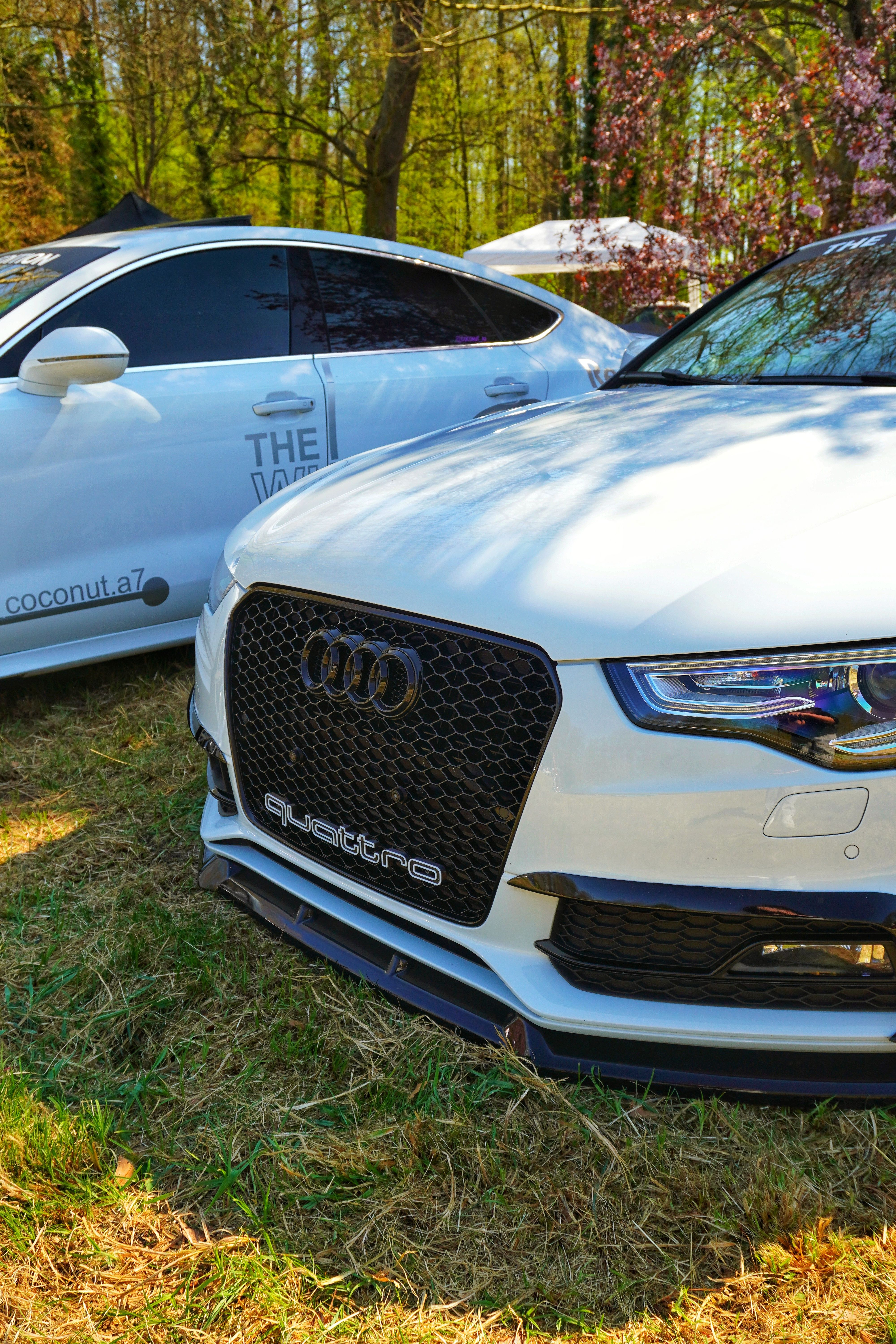 Sleek White Audi Cars Parked Outdoors in Spring · Free Stock Photo