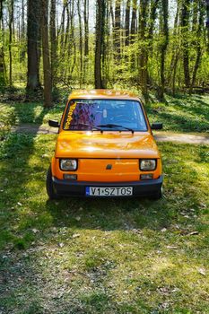 Bright orange vintage car parked in a serene forest setting during daytime.