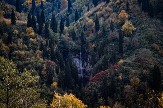 Beautiful autumn forest landscape with a waterfall in Artvin, Türkiye.
