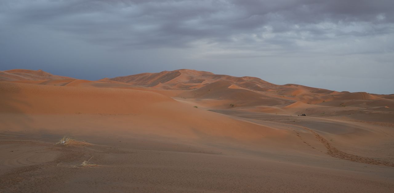 Erg Chebbi