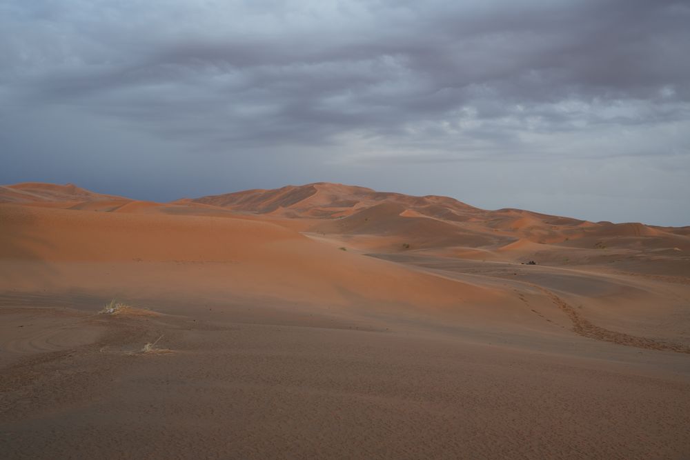 Golden sand dunes near Merzouga in Morocco's Sahara Desert