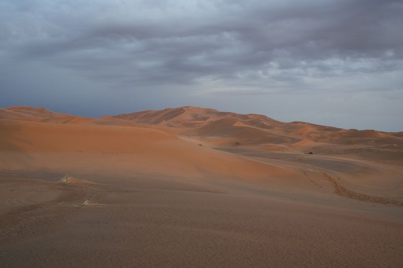 Erg Chebbi sand dunes, Merzouga Morocco
