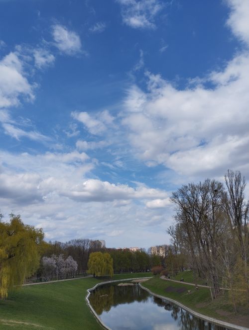 Free A tranquil park scene with a reflective pond, lush greenery, and a vibrant blue sky with clouds. Stock Photo