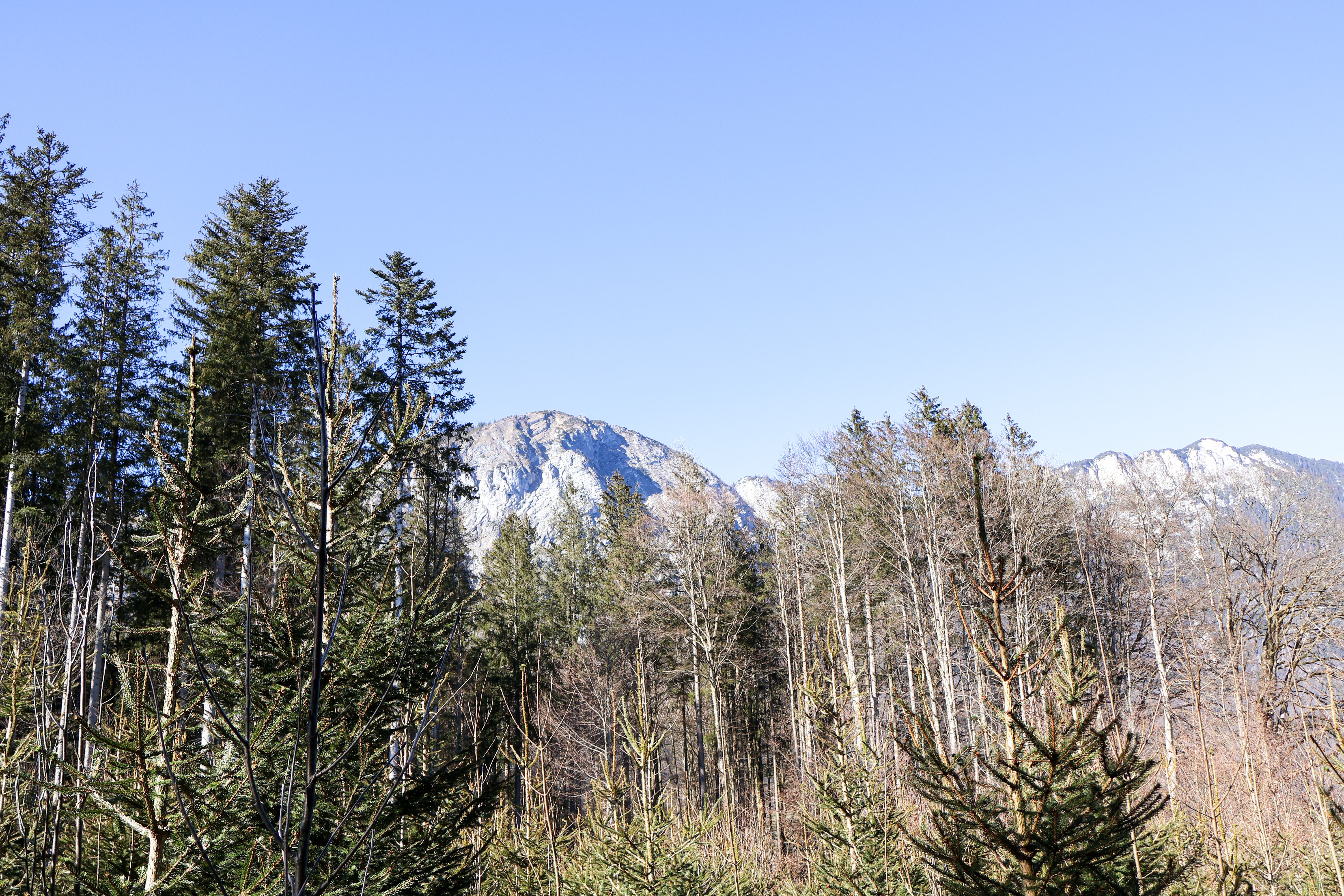 Angerberg